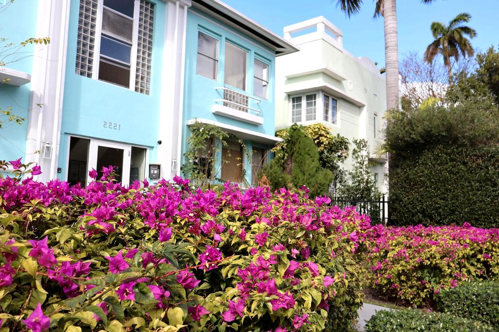 Urban balcony transformed with colorful flowers
